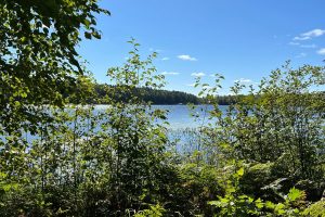 Off Booth Lake Rd, , Minoqua,  WI 54548 United States