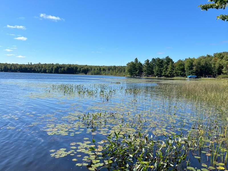 Off Booth Lake Rd, , Minoqua,  WI 54548 United States