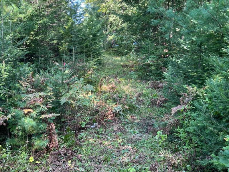 Off Booth Lake Rd, , Minoqua,  WI 54548 United States