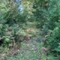 Off Booth Lake Rd, , Minoqua,  WI 54548 United States