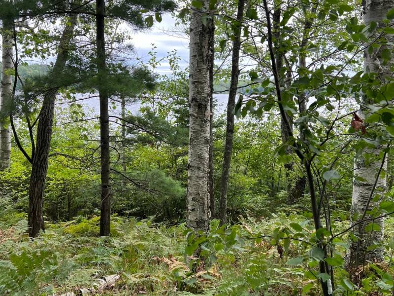 Off Booth Lake Rd, , Minoqua,  WI 54548 United States