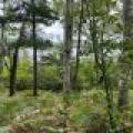 Off Booth Lake Rd, , Minoqua,  WI 54548 United States