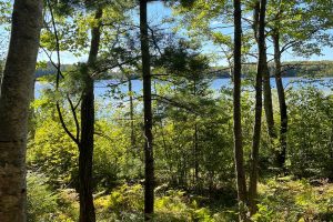 Off Booth Lake Rd, , Minoqua,  WI 54548 United States