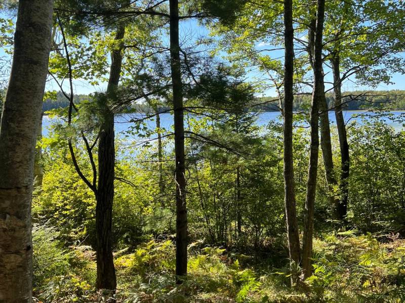 Off Booth Lake Rd, , Minoqua,  WI 54548 United States