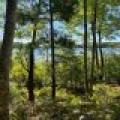 Off Booth Lake Rd, , Minoqua,  WI 54548 United States