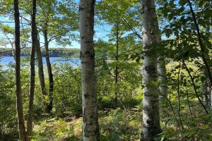 Off Booth Lake Rd, , Minoqua,  WI 54548 United States