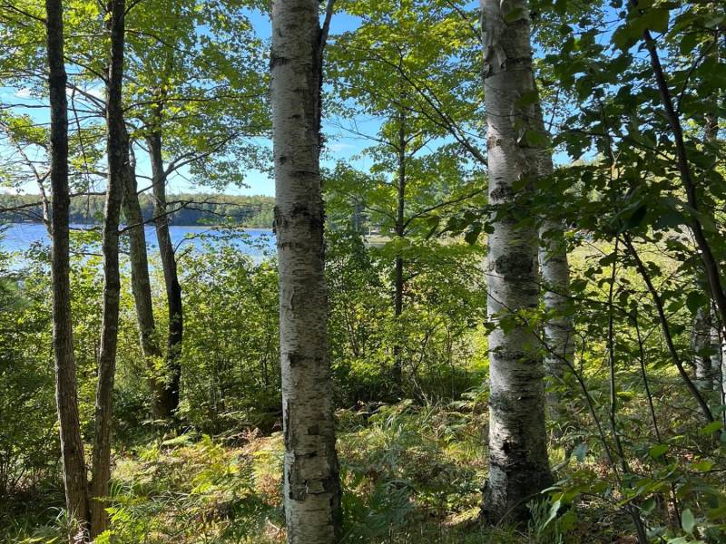 Off Booth Lake Rd, , Minoqua,  WI 54548 United States
