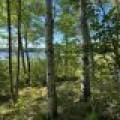 Off Booth Lake Rd, , Minoqua,  WI 54548 United States