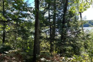 Off Booth Lake Rd, , Minoqua,  WI 54548 United States