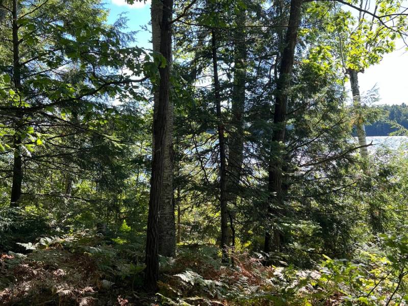 Off Booth Lake Rd, , Minoqua,  WI 54548 United States