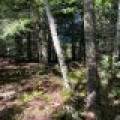 Off Booth Lake Rd, , Minoqua,  WI 54548 United States