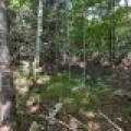 Off Booth Lake Rd, , Minoqua,  WI 54548 United States