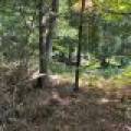 Off Booth Lake Rd, , Minoqua,  WI 54548 United States