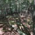 Off Booth Lake Rd, , Minoqua,  WI 54548 United States