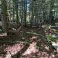 Off Booth Lake Rd, , Minoqua,  WI 54548 United States