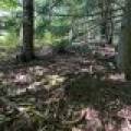 Off Booth Lake Rd, , Minoqua,  WI 54548 United States