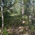 Off Booth Lake Rd, , Minoqua,  WI 54548 United States