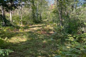 Off Booth Lake Rd, , Minoqua,  WI 54548 United States