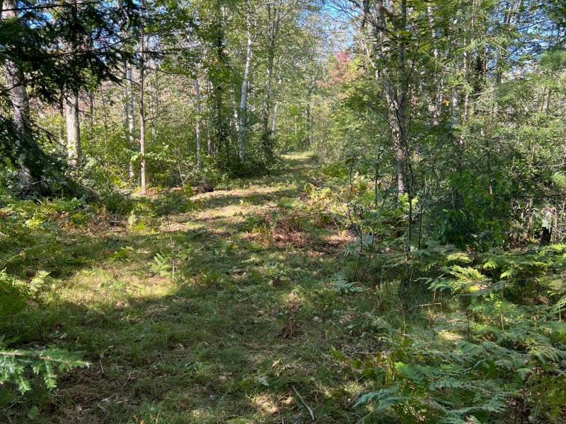 Off Booth Lake Rd, , Minoqua,  WI 54548 United States