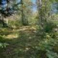 Off Booth Lake Rd, , Minoqua,  WI 54548 United States