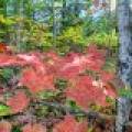 S5 Off Turtle Lake Rd, , Winchester,  WI 54557 United States