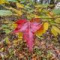 S5 Off Turtle Lake Rd, , Winchester,  WI 54557 United States