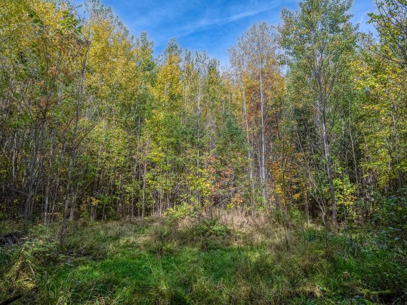 S5 Off Turtle Lake Rd, , Winchester,  WI 54557 United States