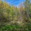 S5 Off Turtle Lake Rd, , Winchester,  WI 54557 United States