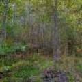 S5 Off Turtle Lake Rd, , Winchester,  WI 54557 United States