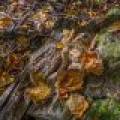 S5 Off Turtle Lake Rd, , Winchester,  WI 54557 United States