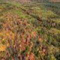 S5 Off Turtle Lake Rd, , Winchester,  WI 54557 United States