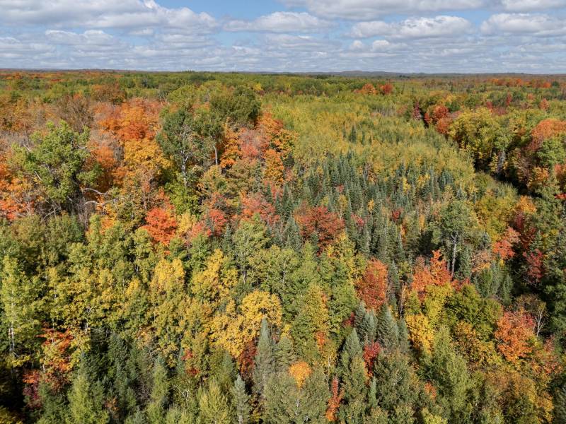 S5 Off Turtle Lake Rd, , Winchester,  WI 54557 United States