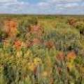 S5 Off Turtle Lake Rd, , Winchester,  WI 54557 United States