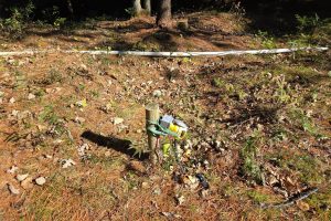 W7560 Wagner Rd, , Wilson,  WI 54487 United States