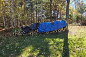 W7560 Wagner Rd, , Wilson,  WI 54487 United States