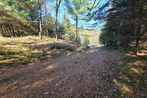 W7560 Wagner Rd, , Wilson,  WI 54487 United States