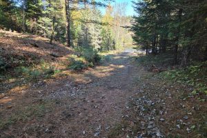 W7560 Wagner Rd, , Wilson,  WI 54487 United States