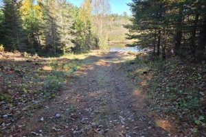 W7560 Wagner Rd, , Wilson,  WI 54487 United States