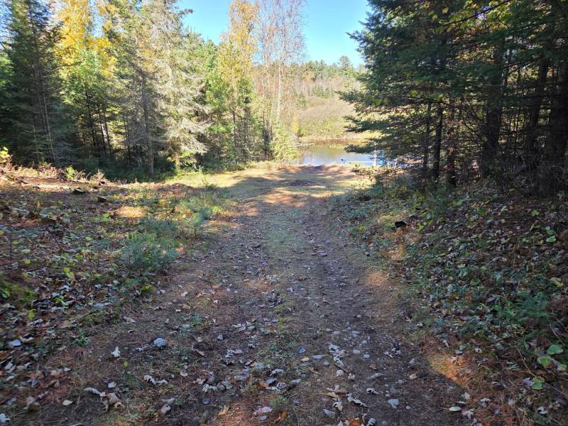 W7560 Wagner Rd, , Wilson,  WI 54487 United States