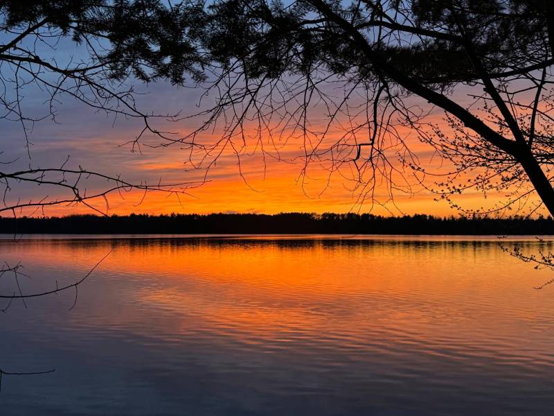 1/8698 Guest Rd, , Newbold,  WI 54558 United States