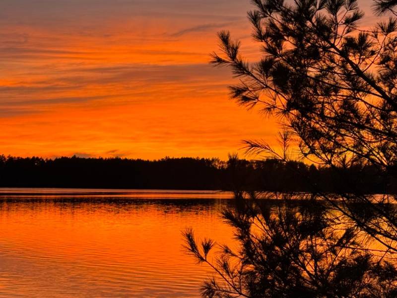 1/8698 Guest Rd, , Newbold,  WI 54558 United States