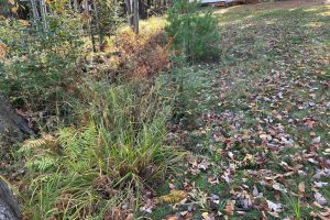 1278 Riverdale Ln, , Eagle River,  WI 54521 United States