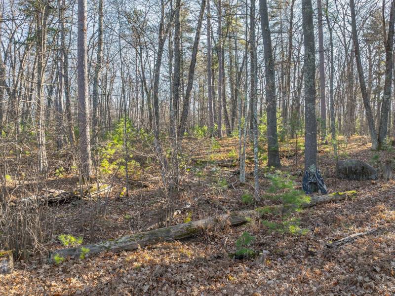 1538 Lotus Ln, , Eagle River,  WI 54521 United States