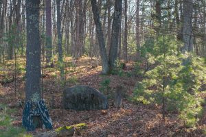 1538 Lotus Ln, , Eagle River,  WI 54521 United States