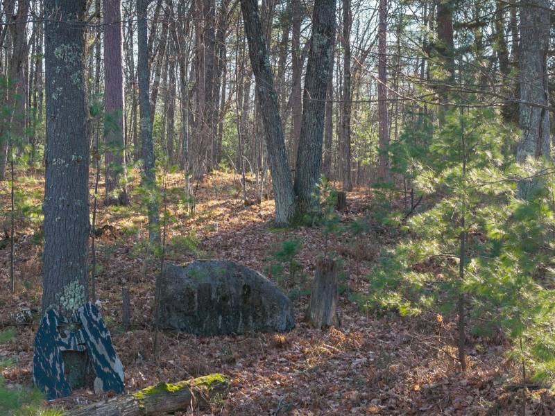 1538 Lotus Ln, , Eagle River,  WI 54521 United States