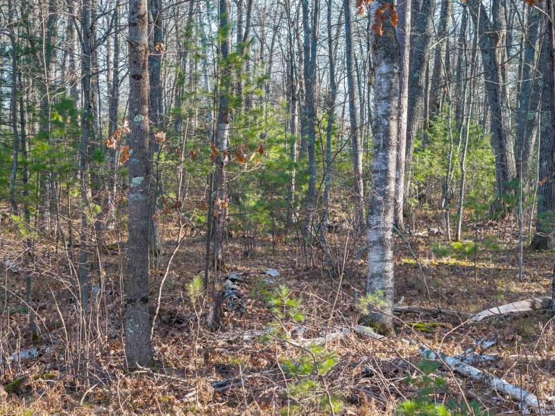 1538 Lotus Ln, , Eagle River,  WI 54521 United States