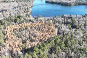 7781 Birchwood Dr, , St. Germain,  WI 54558 United States