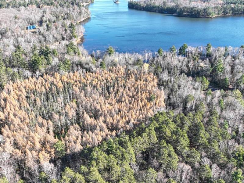 7781 Birchwood Dr, , St. Germain,  WI 54558 United States