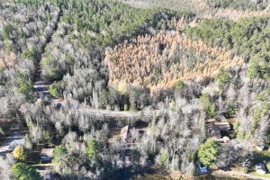 7781 Birchwood Dr, , St. Germain,  WI 54558 United States