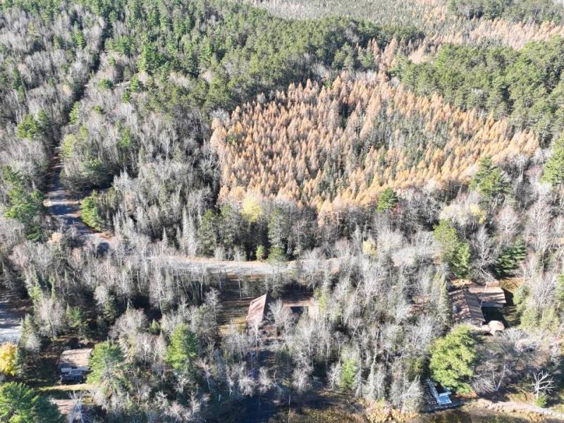 7781 Birchwood Dr, , St. Germain,  WI 54558 United States